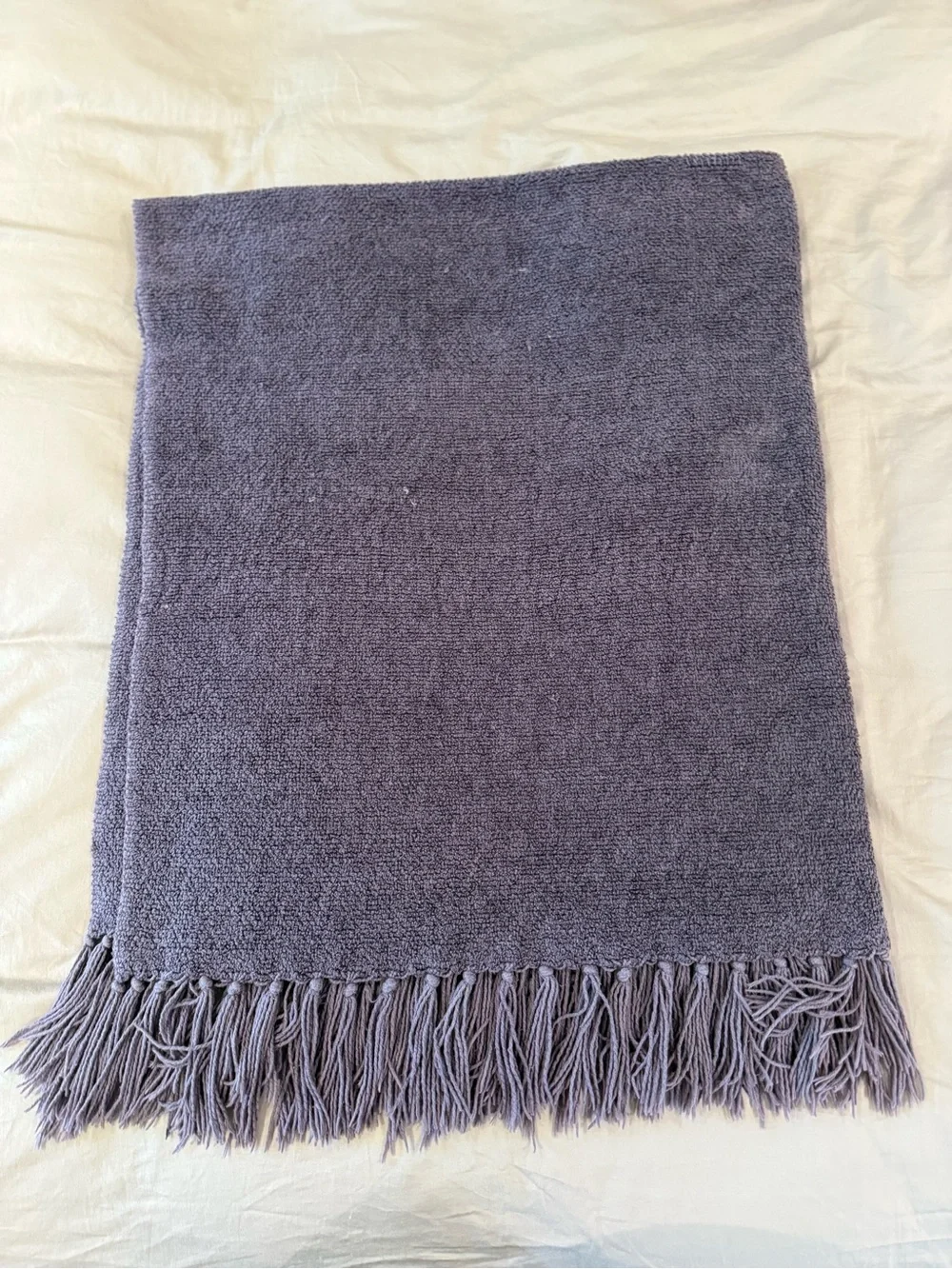 Pottery Barn Chenille Fringe Throw Blanket – Dusty Purple/Slate, 50x56